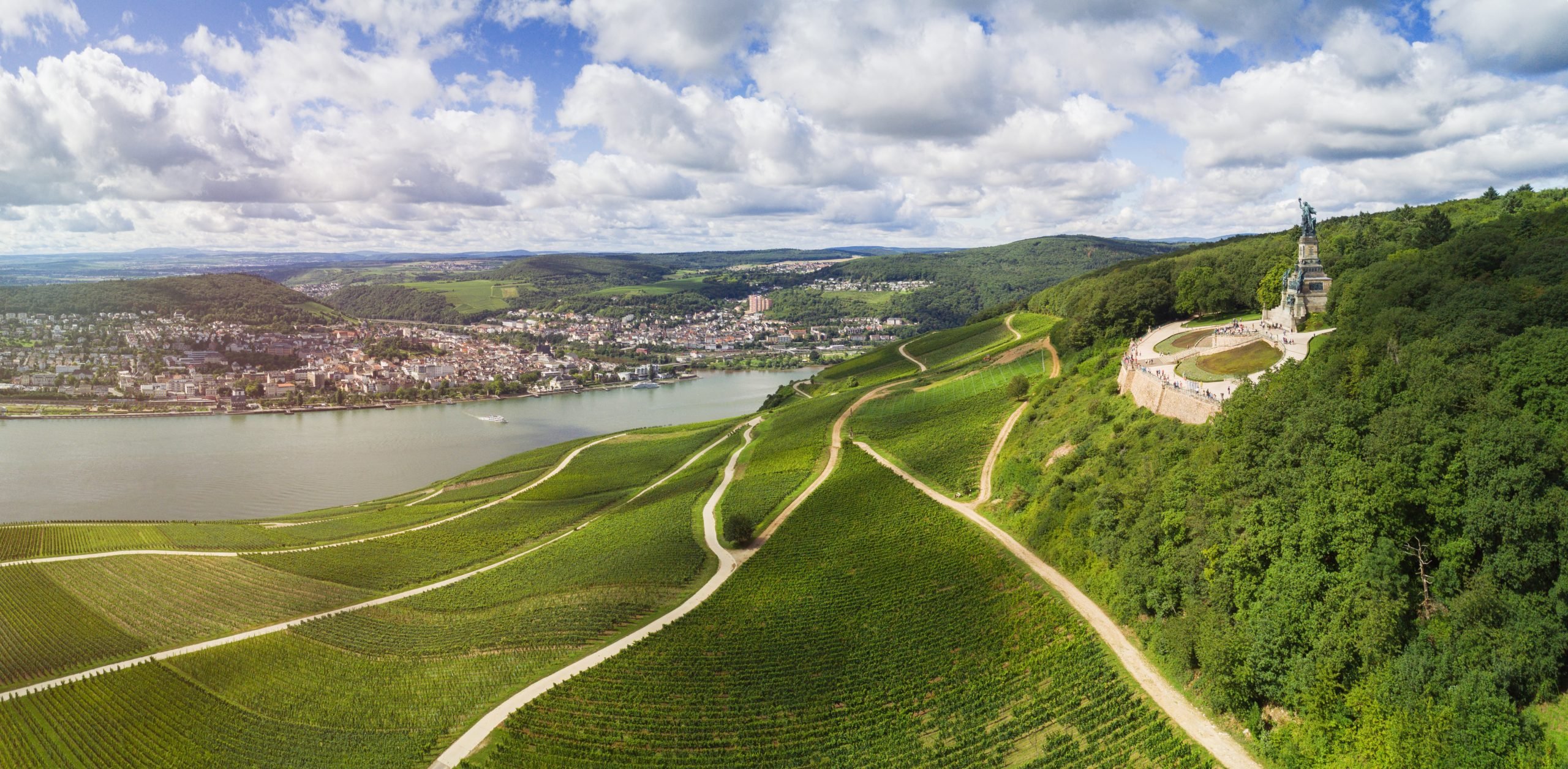 Klassiska Vinregionen Rheingau I Förändring — Wine Table