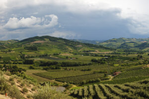 Landskapsbild på vinodlingsområdet Romagna i Italien