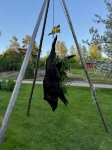 Från skog till bord, vildsvin på Pukhults popup utanför Linköping