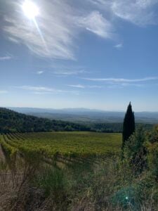 Brunello di Montalcino landscape