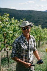 The vineyards of Colline Pisano