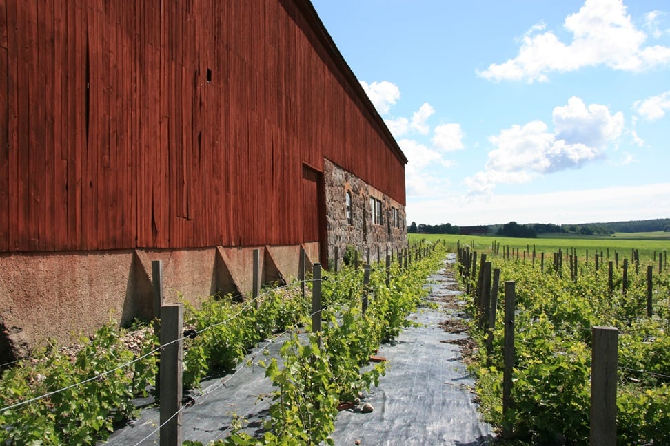 Blaxsta Vingård