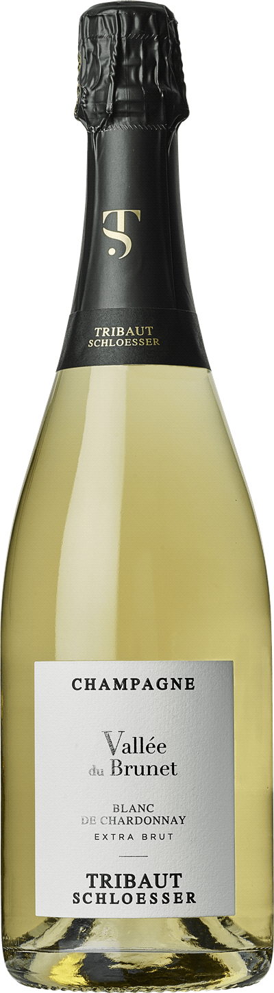 Tribaut Blanc de Chardonnay Brut